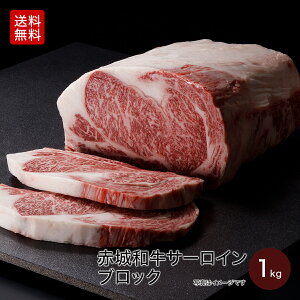 yP10{ N[| 16 23:59܂Łzē p ԏa T[C ubN 1000g ① ^  O a  [Xgr[t BBQ i Mtg