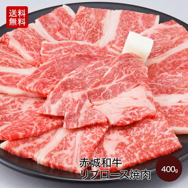 【P5倍 クーポンあり 6/11 1:59まで】赤城和牛 リブロース セット 400g 2~3人前 焼肉 送料無料 冷凍 バーベキュー ロース サーロイン 焼き肉 お取り寄せ グルメ ギフト プレゼント 黒毛和牛 和牛 肉 牛肉 国産牛 霜降り 焼肉用 肉セット 赤身 お歳暮 お誕生日 内祝い