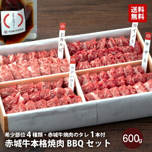ē p ԏ鋍 o BBQ Zbg ē 600g Ⓚ pē̂t Ⓚ  O Y  o 4 ( Jr JCm~ TT~ E`n~ e150g ) i Mtg