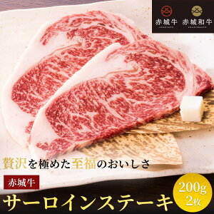 Xe[L p ԏ鋍 T[CXe[L 400g (200g×2) Ⓚ  O Y  BBQ i ē Mtg