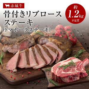 ē p ԏ鋍 t g}z[N Xe[L u[X Xe[L 1.2kg`1.4kg Ⓚ  O Y  BBQ i Mtg