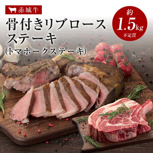 y|Cg5{ 9/11 1:59܂Łzē p ԏ鋍 t g}z[N Xe[L u[X Xe[L 1.5kg`1.7kg Ⓚ  O Y  BBQ i Mtg