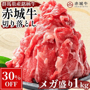 y30%OFF 12/11 1:59܂Łzܐ؂ ԏ鋍 ؂藎Ƃ ( o E  ) 1kg (200g×5pbN) Ⓚ  O Y  Ă Ԃ  i Mtg