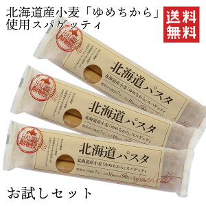 【1000円ポッキリ】【送料無料】赤城食品 北海道パスタ 270g×3 お試しセット パスタ 1.6mm レビュー高評価 北海道産小麦使用 ゆめちから 乾麺 国産パスタ ネコポス ポスト投函