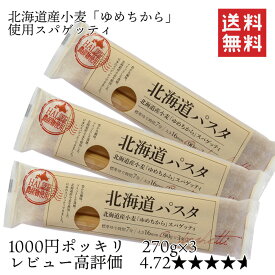 【1000円ポッキリ】【送料無料】赤城食品 北海道パスタ 270g×3 お試しセット パスタ 1.6mm レビュー高評価 北海道産小麦使用 ゆめちから 乾麺 国産パスタ ネコポス ポスト投函 買い回り ポイント消化