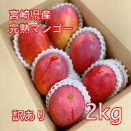 宮崎県産 完熟マンゴー 5-6玉 2kg 訳あり アップルマンゴー 熱帯果実 産地直送 産直 加工用 赤池農園 中…
