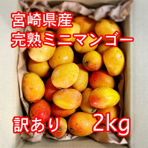 {茧Y n~j}S[ 2kg 󂠂 Abv}S[ n}S[ Mщʎ Yn Y Hp Ԓr_  j c ƒp p { Ԍ ① 