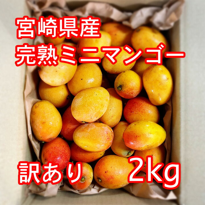 楽天市場】宮崎県産 完熟ミニマンゴー 2kg 訳あり アップルマンゴー 