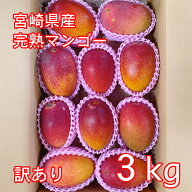 宮崎県産 完熟マンゴー 7-11玉 3kg 訳あり アップルマンゴー 熱帯果実 産地直送 産直 加工用 赤池農園 中…