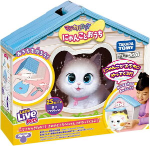 yViz }WJDIY ɂ񂱂Ƃ 