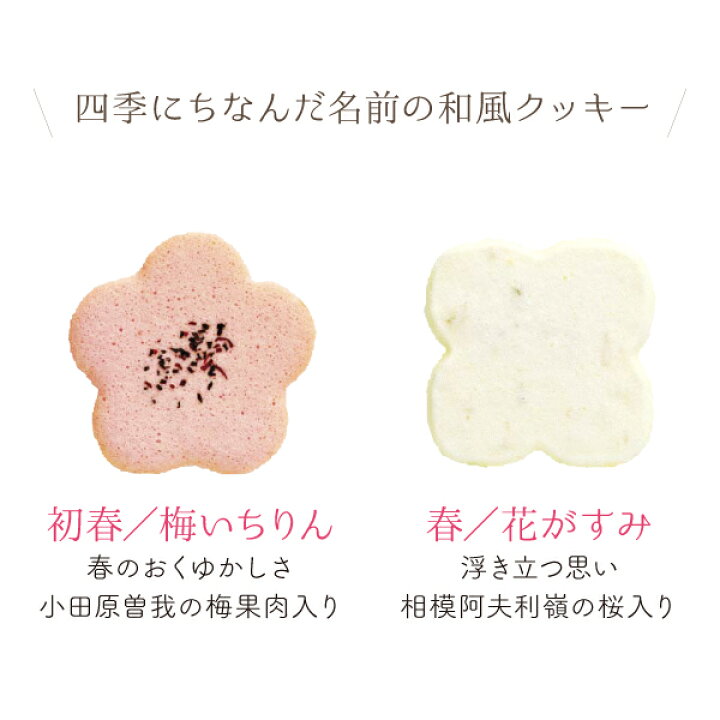 お菓子 ギフト ちをり 月の精 3号 クッキー詰め合わせ 10種類60包入 スイーツ 贈り物 セット 女性 おしゃれ かわいい 缶入り 和風 和菓子 個包装 人気ショップが最安値挑戦