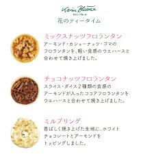 あす楽カリン・ブルーメ|お歳暮お菓子ギフトのし洋菓子3000円焼き菓子おしゃれお礼缶結婚景品退職内祝いお祝いプレゼント挨拶引出物|花のティータイム6号クッキー詰め合わせ11種類50個入