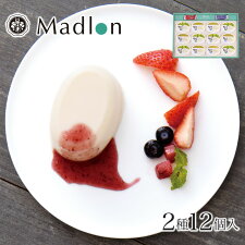 エル・マドロン生チーズケーキチーズケーキ生チーズケーキ12個ソース6個入り1箱