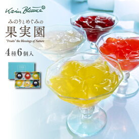 カリン・ブルーメ公式OnlineShop｜みのりとめぐみの果実園 4種6個入｜TIVOLI ちぼり 洋生菓子 スイーツ ゼリー フルーツ 果物 葡萄 グレープ あまおう 苺 ストロベリー りんご 巨峰 レモン 瀬戸内 檸檬 特産品 岡山 福岡 青森 手土産 詰め合わせ