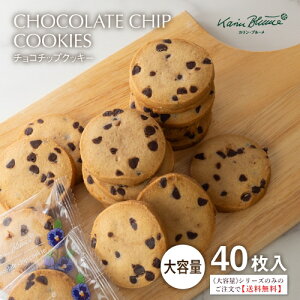 seʁt`R`bvNbL[ 40yseʁtV[Ŷ݂̒őzbTIVOLI ڂ karinblume JEu[ َq mَq ĉَq XC[c `R[g NbL[ lߍ