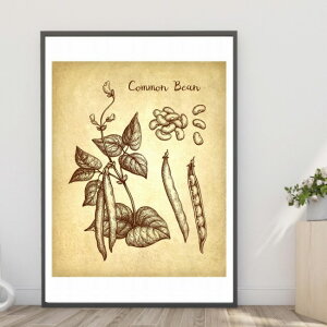 yzA4EA3|X^[ygȂ񂰂񓤁zA  ԑ K[fjO CeA [bp A[g tHg  C A4EA3TCY  A[g CXg `AEg JtF iX R[