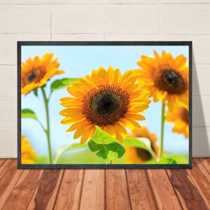 �y���������z�A�[�g�|�X�^�[�y�Ђ܂��t�H�g�z�G�� �� �A�� �{�^�j�J�� �K�[�f���� �T�}�[ 8�� ������ �C���X�g �A�[�g�|�X�^�[ A4�EA3�T�C�Y �Ǐ��� �͗l�ւ� �C���e���A �J�t�F ���X�^�O