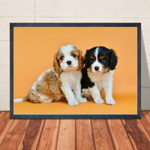 �y���������z�A�[�g�|�X�^�[ �L���o���A�y9�z���킢�������R�̃|�X�^�[ �� �C���e���A �ʐ^ A4�EA3�T�C�Y �������萶�� �y�b�g ���� �C���X�^�O���� �C���X�^�f�� ���� m1