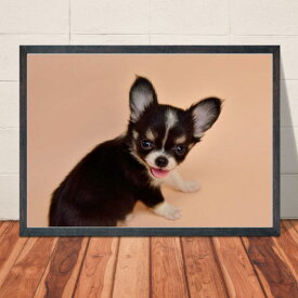 楽天市場 かわいいワンコで癒されるポスターの通販