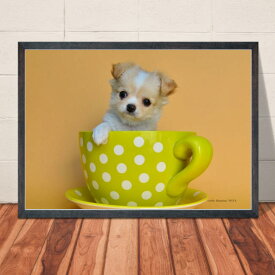 楽天市場 かわいいワンコで癒されるポスターの通販