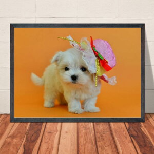 �y���������z�A�[�g�|�X�^�[ �}���`�[�Y�y7�z���킢�������R�̃|�X�^�[�@�� �C���e���A �ʐ^ A4�EA3�T�C�Y �������萶�� �y�b�g ���� �C���X�^�O���� �C���X�^�f�� ���� m1