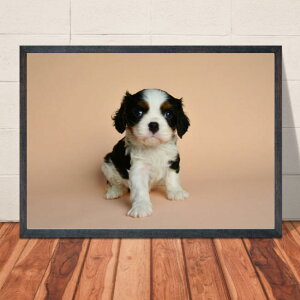 �y���������z�A�[�g�|�X�^�[ �L���o���A�y10�z���킢�������R�̃|�X�^�[ �� �C���e���A �ʐ^ A4�EA3�T�C�Y �������萶�� �y�b�g ���� �C���X�^�O���� �C���X�^�f�� ���� m1