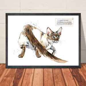 �y���������z�A�[�g�|�X�^�[�yCats Breed Collection JAVANEZ�z�l�R �˂� �ɂ�� �C���e���A �y�b�g �� ���� �X�R�e�B�b�V���E�t�H�[���h �}���`�J�� �A�����J���E�V���[�g�w�A �m���E�F�[�W����
