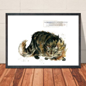 �y���������z�A�[�g�|�X�^�[�yCats Breed Collection �m���E�F�[�W�����E�t�H���X�g�L���b�g�z�l�R �˂� �C���e���A �y�b�g �X�R�e�B�b�V���E�t�H�[���h �}���`�J�� �A�����J���E�V���[�g�w�A 