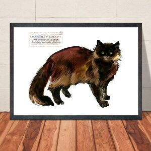 �y���������z�A�[�g�|�X�^�[�yCats Breed Collection �V�����e�B���[�z�l�R �˂� �ɂ�� �C���e���A �y�b�g �X�R�e�B�b�V���E�t�H�[���h �}���`�J�� �A�����J���E�V���[�g�w�A �m���E�F�[�W��