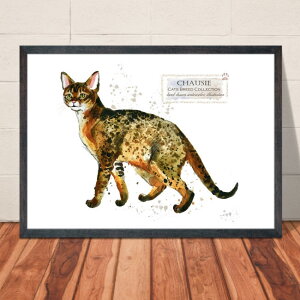 �y���������z�A�[�g�|�X�^�[�yCats Breed Collection �`���E�V�[�z�l�R �˂� �ɂ�� �C���e���A �y�b�g �X�R�e�B�b�V���E�t�H�[���h �}���`�J�� �A�����J���E�V���[�g�w�A �m���E�F�[�W�����E