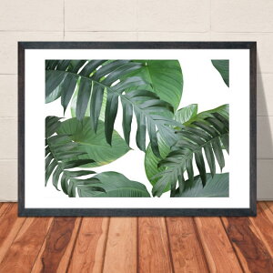 yyV1ʁzyzA4EA3|X^[yϗtA-VƃAJVAijzCeA [bp AJ A[g tHg CeA  C A4EA3TCY CX^f A[g CXg `