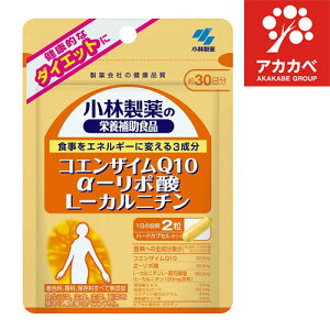 RGUCQ10 -|_L-Jj` 30 ( 60 )/ ѐ̉h{⏕HiylR|Xz