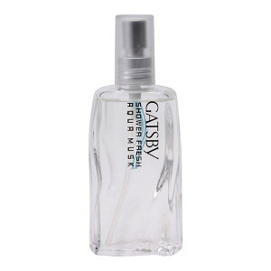 Mcr[(GATSBY)@V[tbV(ANAXN)@60mL@tOX@YRX@u₩@@I[fR@Y@j@ق̂ɍ