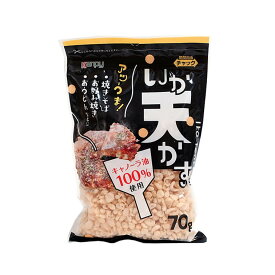 【10個セット】イカ天かす70g【同梱不可】