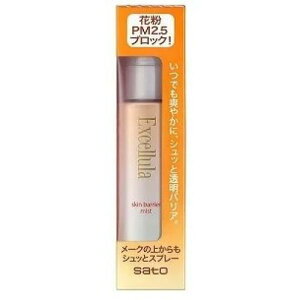 GNZ[ XLoA ~Xg 50mL @Ep ԕh~Xv[@PM2.5@ubN@ Az@nEX_Xg@Az@ς@yz