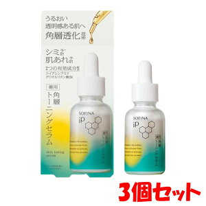 �y3�Z�b�g�����������z�\�t�B�[�i iP ��p �p�w�g�[�j���O�Z����(30ml)�y�\�t�B�[�iiP�z �ԉ� ���e�t �Z���� �\�t�B�[�iiP �i�C�A�V���A�~�h �p�w �y�\�t�B�[�i(SOFINA)�z�y�u���z��p�z�y�䂤