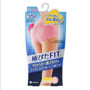 \tB ɂ҂FIT i`tBbg ӂ LTCY xr[sN(1R)y\tBz