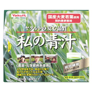 Ng CȔ ̐`(4g*30ܓ)yCȔz