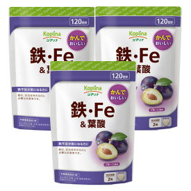 【3個セット★送料無料】マグナス 噛んで食べられる健康サプリ「 鉄・Fe＆葉酸 240粒 120日分」水なしで栄養補給 タブレット チュアブル 貯蔵鉄 鉄分 鉄活 プルーン風味 おいしい サプリメント 栄養補助食品 安心国内製造 コプリナ ネコポス