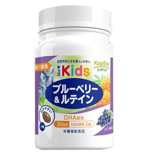 yLbYTvz}OiX u[x[&eC 60 \tgJvZ Ԃǂ qĉ DHAz  q Tvg h{⏕Hi S Rvi NTv Tv