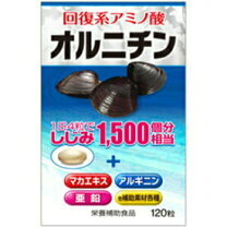オルニチン 伸和製薬の通販