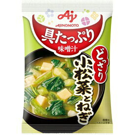 【10個セット】具たっぷり味噌汁小松菜とねぎ【同梱不可】