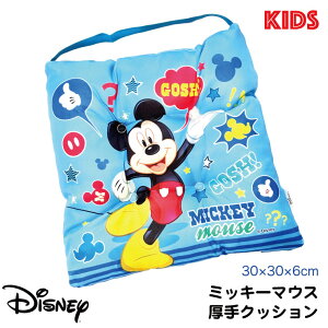 wNbV ~bL[}EX ()fBYj[ LN^[ LbY q  w ʊw