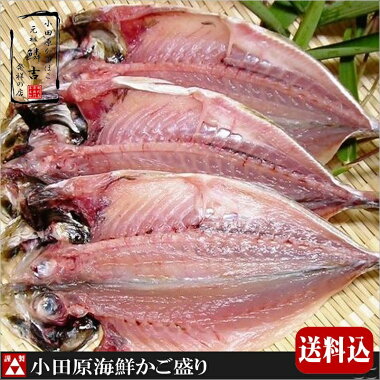 小田原海鮮かご盛り/創業天明元年「小田原かまぼこ発祥の店うろこき」のおいしいかまぼこ《送料無料GIFT練り物干物》