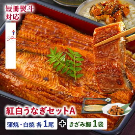 最安値挑戦★ミックス 紅白うなぎAセット 国産（鹿児島県産）紅白うなぎ（約125g/蒲焼・白焼 各1尾）きざみ鰻1袋 燻製オリーブオイル/タレ/山椒付 ギフト 送料無料 あす楽 鰻 かば焼き 花見 母の日 こどもの日 父の日 お中元