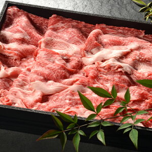 【鳥取和牛】 切り落とし 500g A4〜A5ランク 【 化粧箱付き 焼肉 煮込み 切り落とし 和牛 国産牛 国産 牛肉 ご挨拶 お中元 夏ギフト】