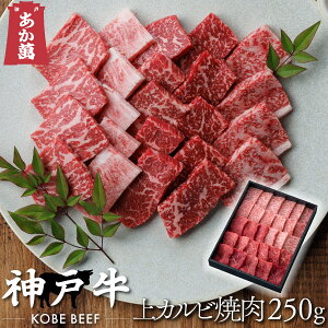 y_ˋz Jr ēp 250g y ܔ ē Y Y  A  ăMtg o[xL[z