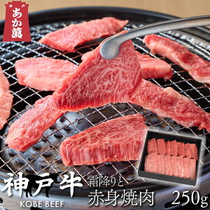 y_ˋz NV^  ēp ~ƐԐg 250g NV^E y ܔ ē ZbgE荇킹 Y Y  A  ăMtg o[xL[z