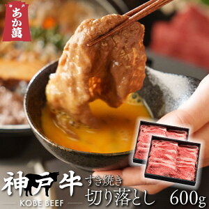 y_ˋz ؂藎Ƃ Ăp 600g y ܔ ē Ă Ԃ ؂藎Ƃ Y Y  A  ăMtgz