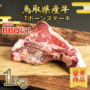 y挧Yz Xe[L T{[Xe[L 1Kg y ^pbN ē Xe[L Y Y A  ăMtg o[xL[z